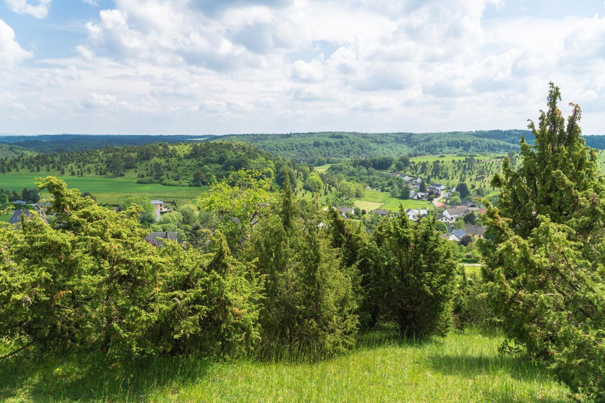 Holzhaus Onkel Fritz Mit Sauna Und Whirlwanne Esch (Rhineland-Palatinate) Exterior foto