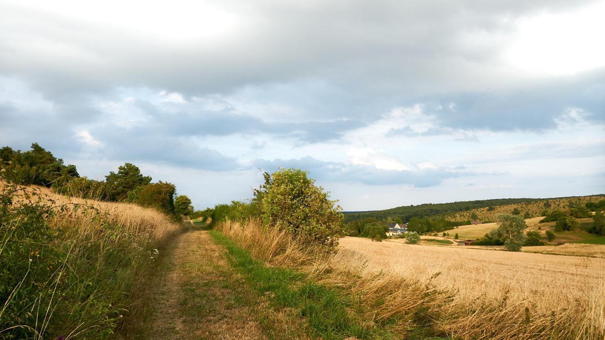 Holzhaus Onkel Fritz Mit Sauna Und Whirlwanne Esch (Rhineland-Palatinate) Exterior foto